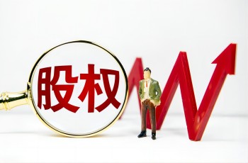 私募股权和风险投资案例展示